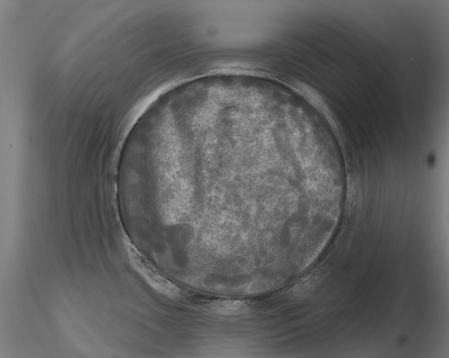 X0000115691435200912031432