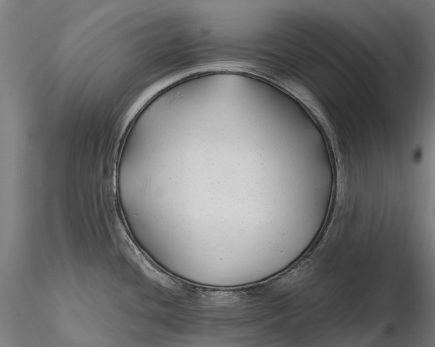 X0000115691436200912031432