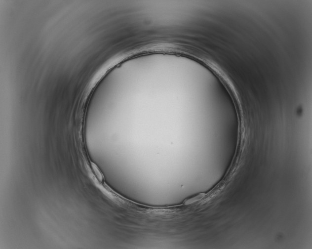 X0000115691437200912031432