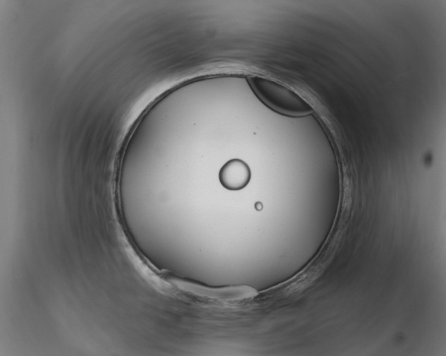 X0000115691438200912031432