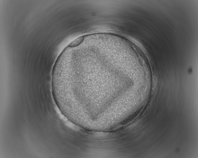 X0000115691439200912031432