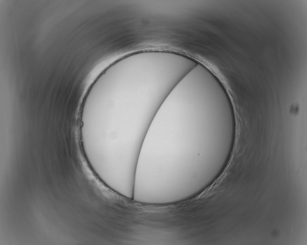 X0000115691440200912031432