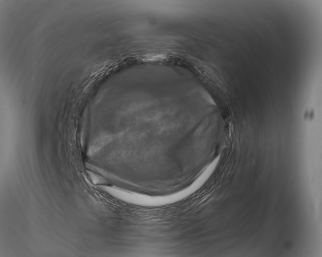 X0000115691441200912031431