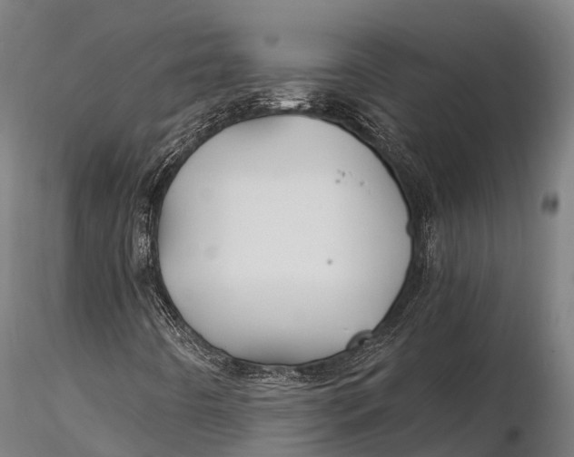 X0000115691442200912031431