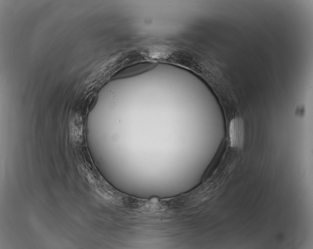 X0000115691443200912031431