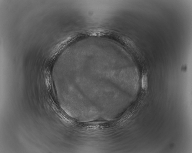 X0000115691444200912031431