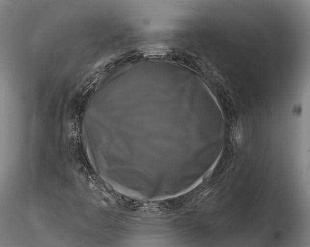 X0000115691445200912031431