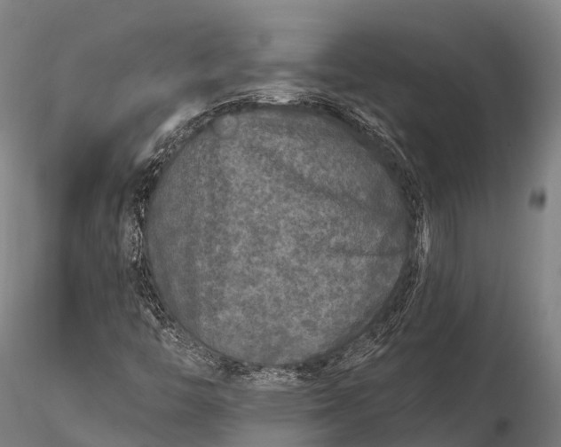 X0000115691446200912031431