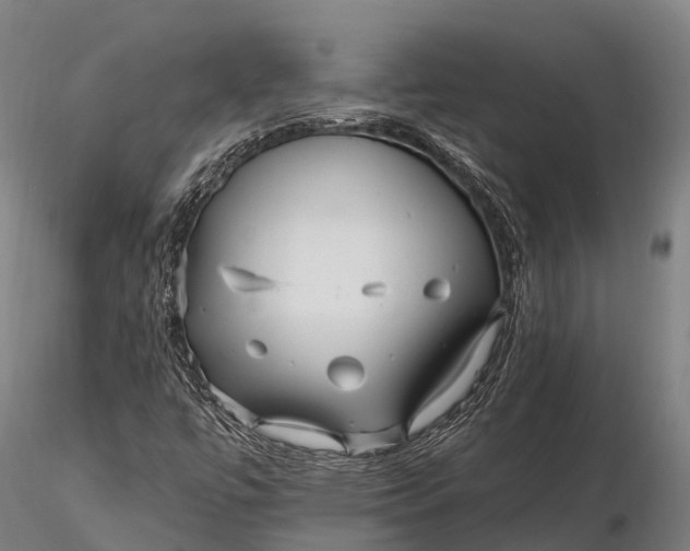 X0000115691447200912031431