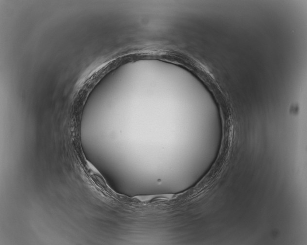 X0000115691448200912031431