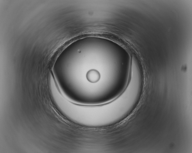 X0000115691449200912031431