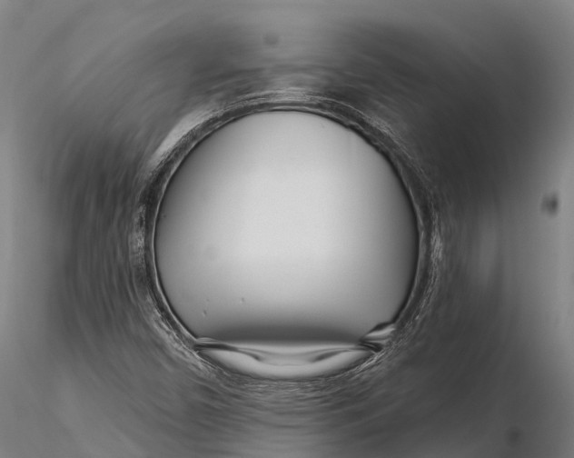 X0000115691450200912031431