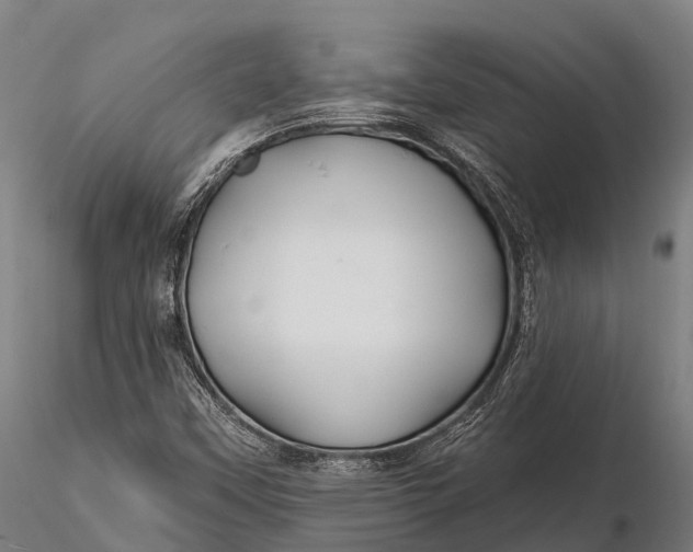 X0000115691451200912031431