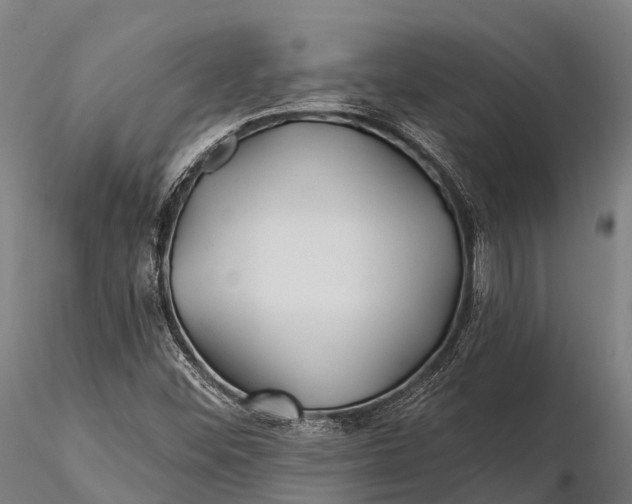 X0000115691452200912031431