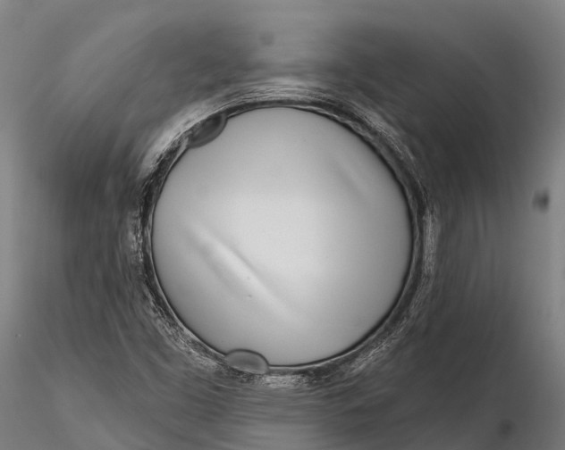 X0000115691453200912031431