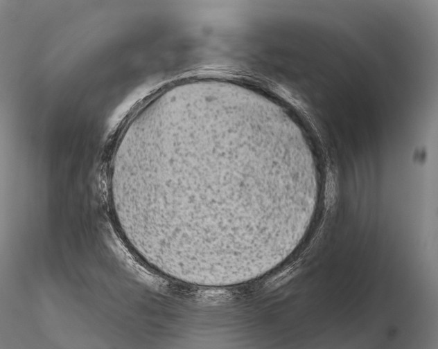 X0000115691454200912031431