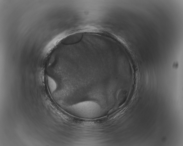 X0000115691455200912031431