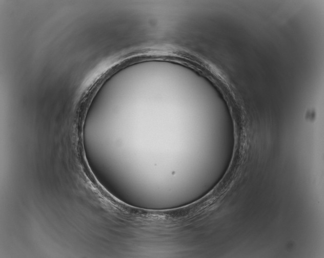 X0000115691456200912031431