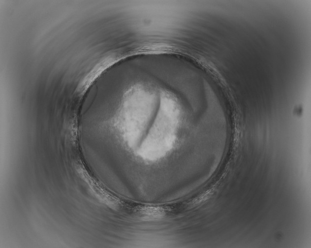 X0000115691457200912031431