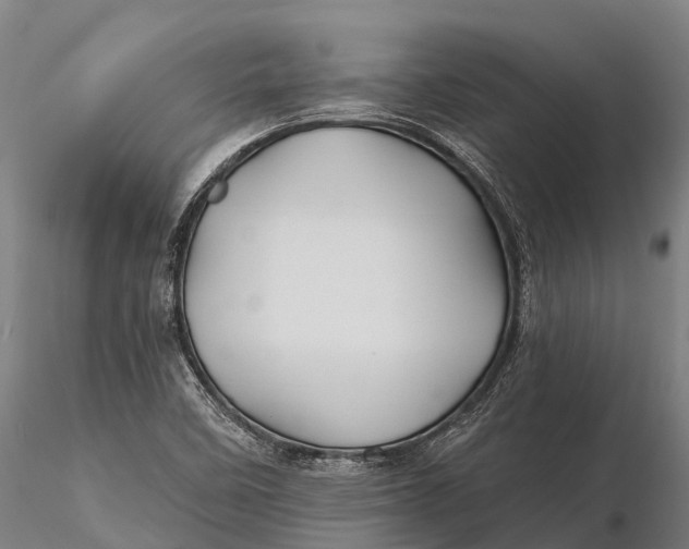 X0000115691458200912031431