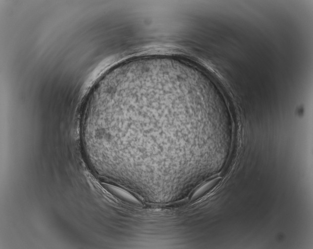 X0000115691459200912031431