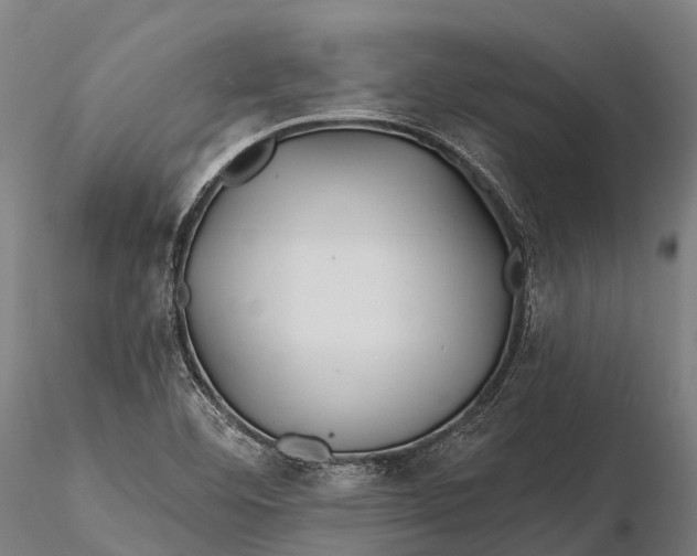 X0000115691460200912031431