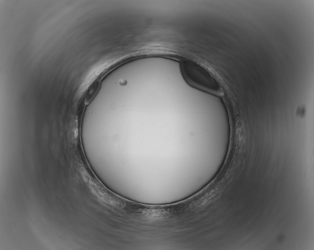 X0000115691461200912031431