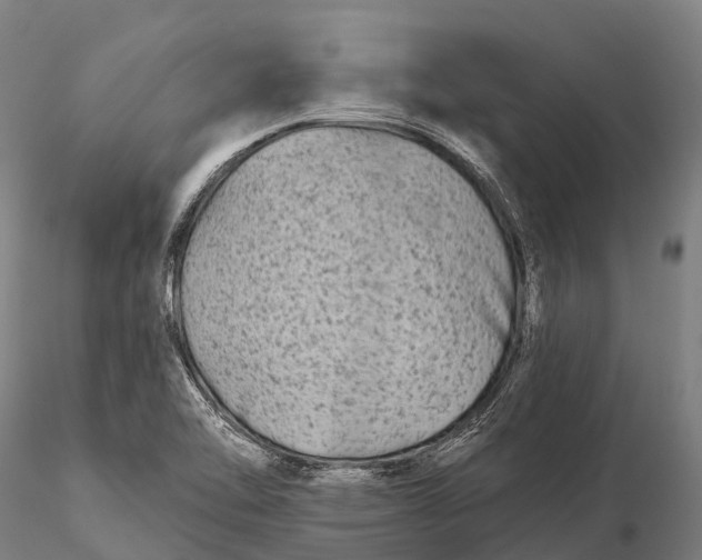 X0000115691462200912031431