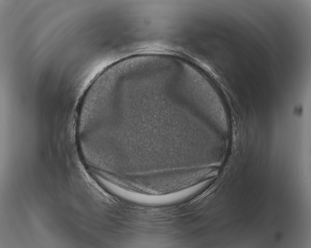 X0000115691463200912031431