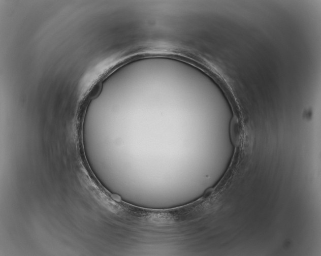 X0000115691464200912031431