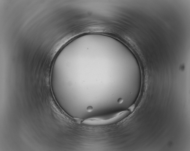 X0000115691465200912031431