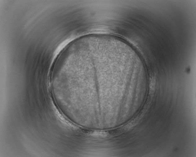 X0000115691466200912031431