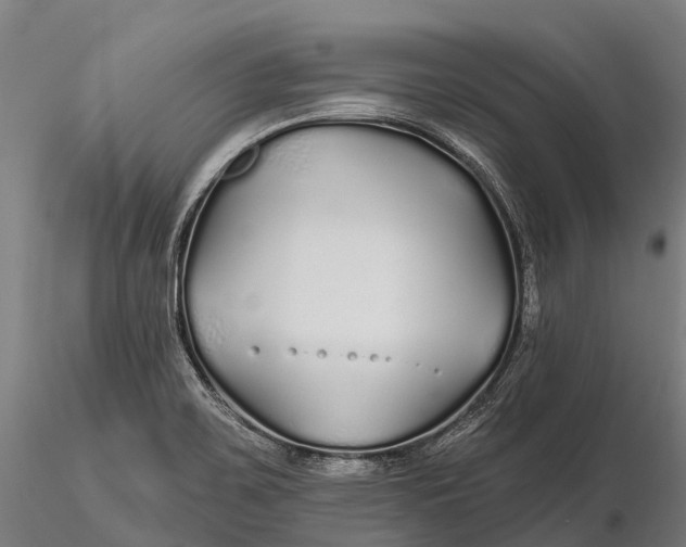 X0000115691467200912031431