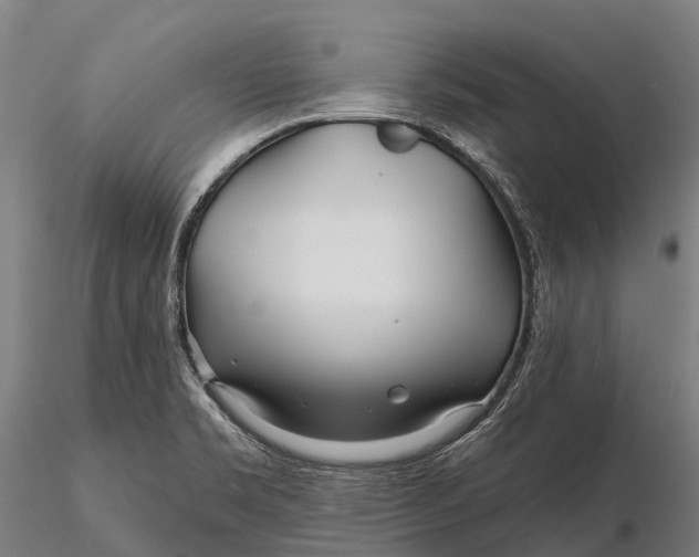 X0000115691469200912031431