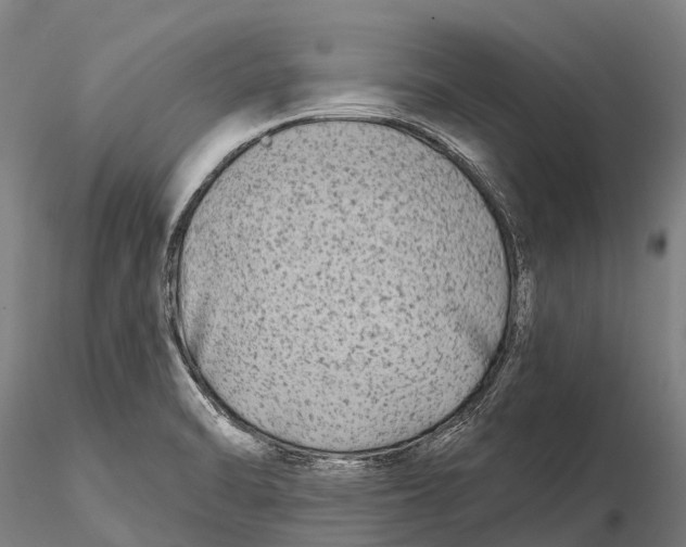 X0000115691470200912031431