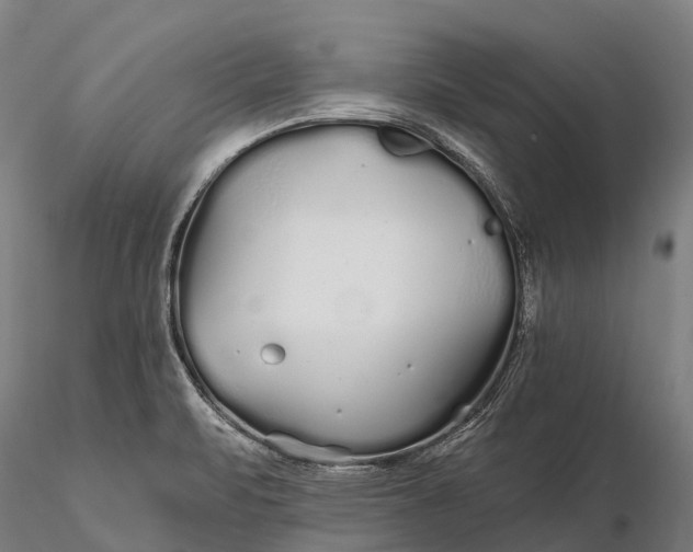 X0000115691471200912031431