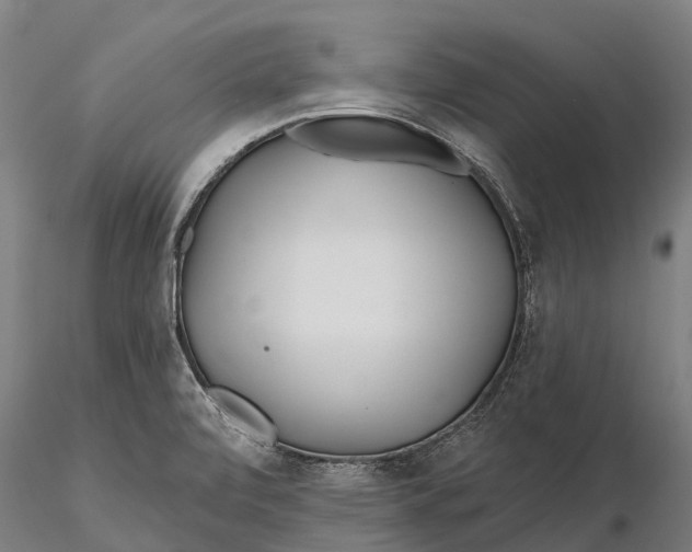 X0000115691472200912031431