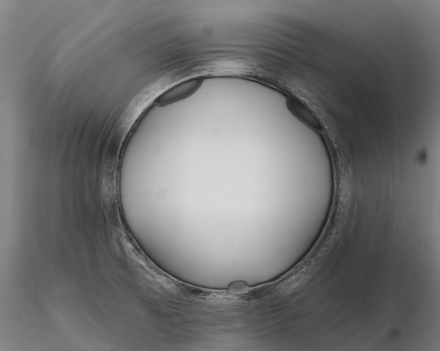 X0000115691473200912031431