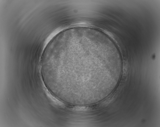 X0000115691474200912031431