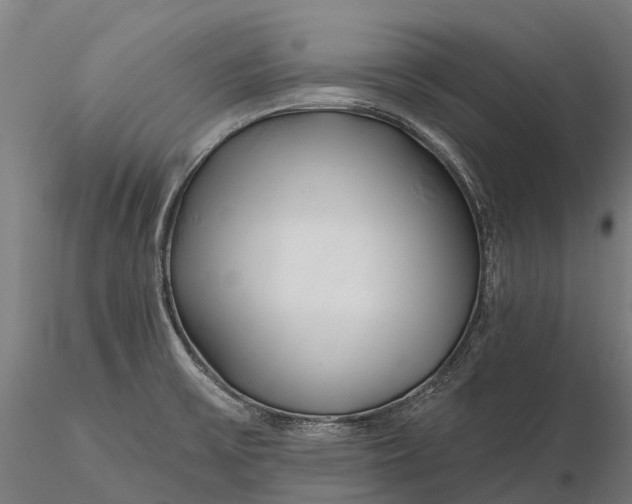 X0000115691475200912031431