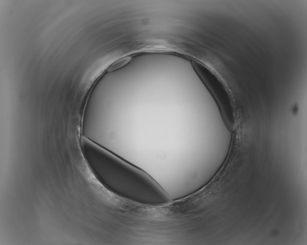 X0000115691476200912031431