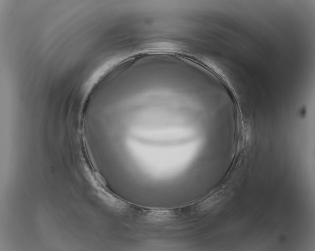 X0000115691477200912031431