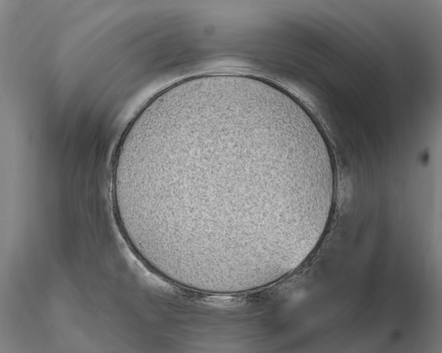 X0000115691478200912031431