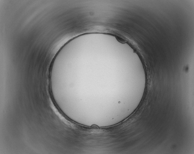 X0000115691479200912031431