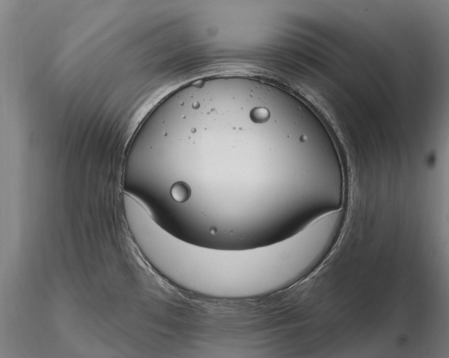 X0000115691481200912031431