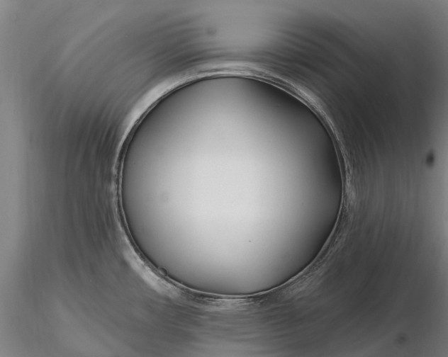 X0000115691482200912031431