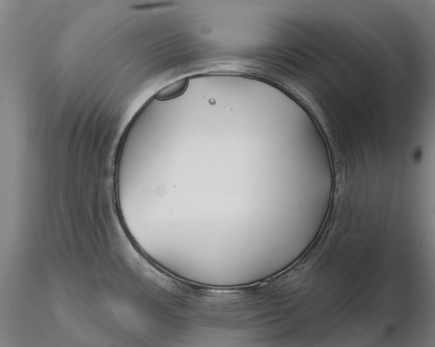 X0000115691483200912031431