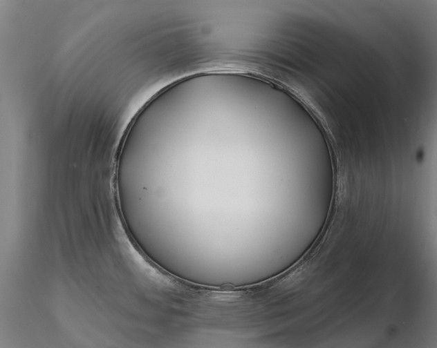 X0000115691484200912031431