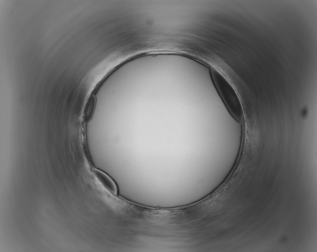 X0000115691485200912031431