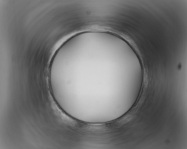 X0000115691486200912031431